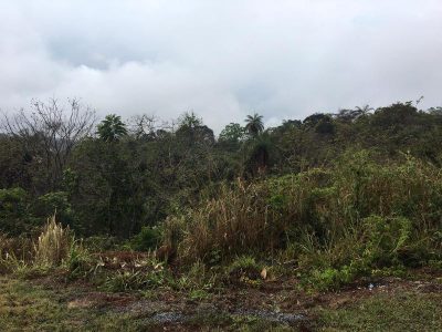 Terreno, 1220 m² - Foto 4