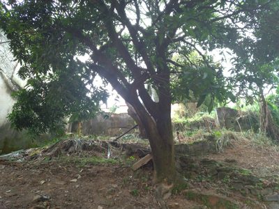 Terreno, 336 m² - Foto 5