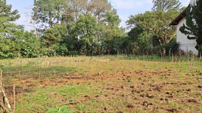 Terreno, 425 m² - Foto 2