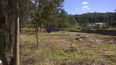 Terreno, 1500 m² - Foto 4