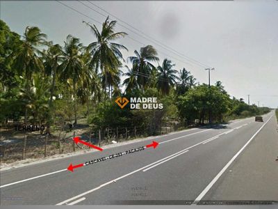 Terreno, 198 hectares - Foto 4