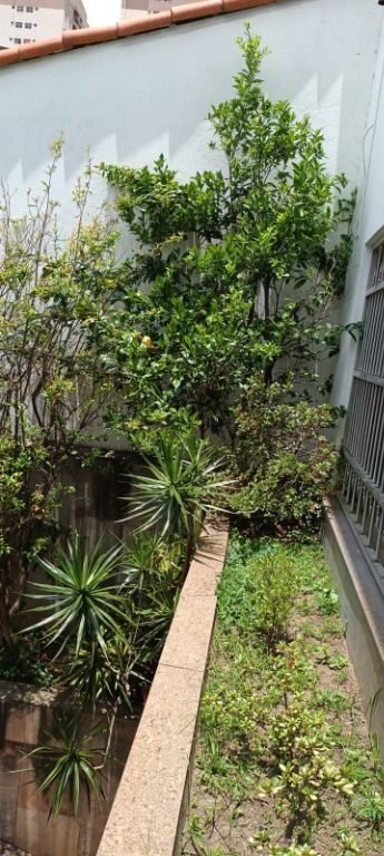 Sobrado, 4 quartos, 323 m² - Foto 5