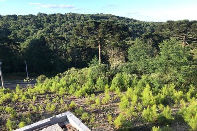Terreno, 450 m² - Foto 4