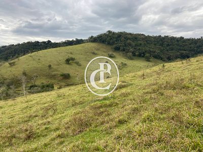 Fazenda, 80 hectares - Foto 5
