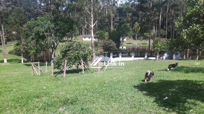 Chácara, 5 quartos, 170 m² - Foto 4