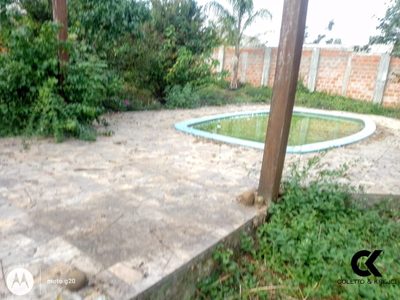 Chácara, 2 quartos, 3500 m² - Foto 4