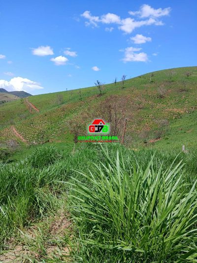 Terreno, 2 hectares - Foto 3