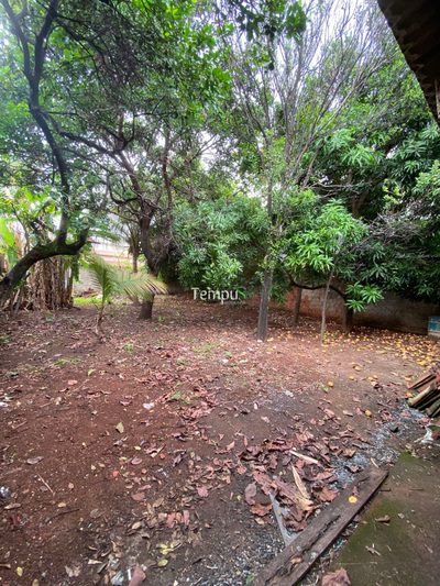 Sala-Conjunto, 210 m² - Foto 4