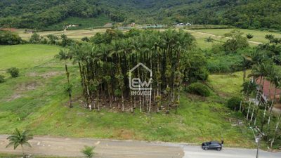 Chácara, 1 quarto, 2 hectares - Foto 2