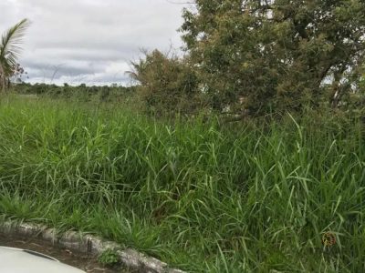 Terreno, 3200 m² - Foto 1