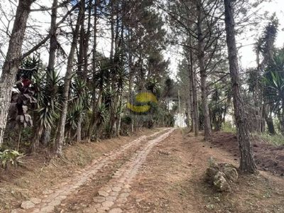 Terreno, 2 hectares - Foto 3