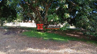 Terreno, 4457 m² - Foto 5