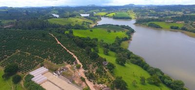 Fazenda, 302 hectares - Foto 3