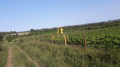 Terreno, 7 m² - Foto 2