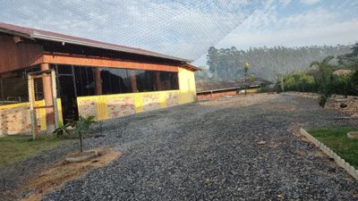 Sítio, 2 quartos, 4 hectares - Foto 5