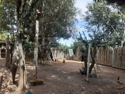 Chácara, 3 quartos, 1000 m² - Foto 4