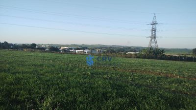 Terreno, 30 hectares - Foto 1