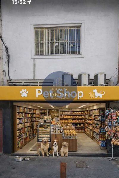 Loja-Salão, 300 m² - Foto 4