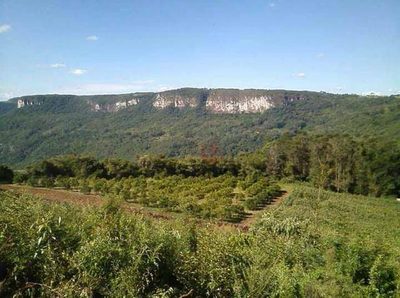 Sítio, 21 hectares - Foto 1