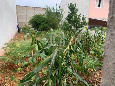 Terreno - Foto 2