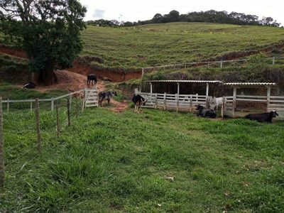 Sítio, 2 quartos, 136 m² - Foto 4