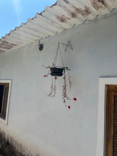 Chácara, 3 quartos, 2400 m² - Foto 5