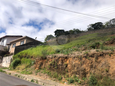 Terreno - Foto 2