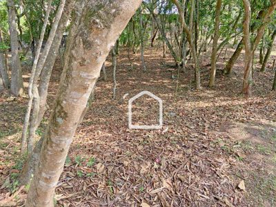 Loteamento e Condomínio, 1334 m² - Foto 1