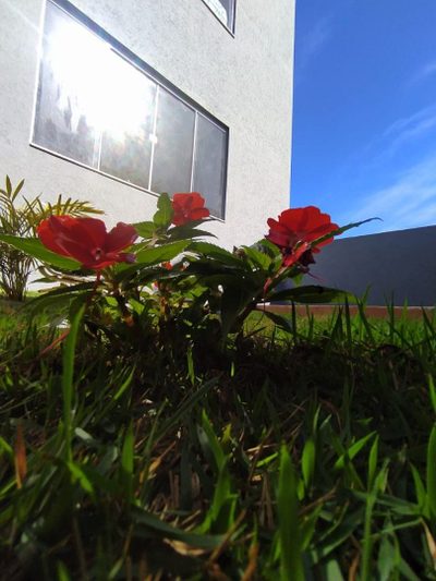 Apartamento, 3 quartos, 90 m² - Foto 2