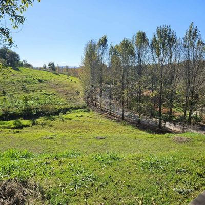 Loteamento e Condomínio, 5000 m² - Foto 3