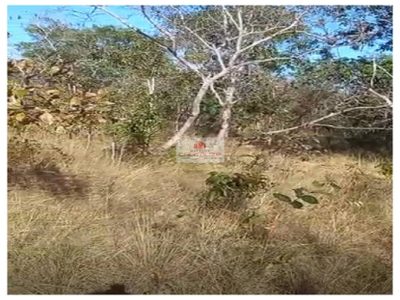Fazenda, 10000 m² - Foto 3
