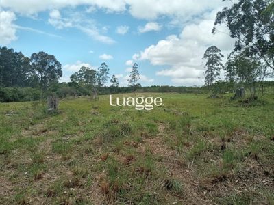 Sítio, 3 quartos, 76 m² - Foto 3