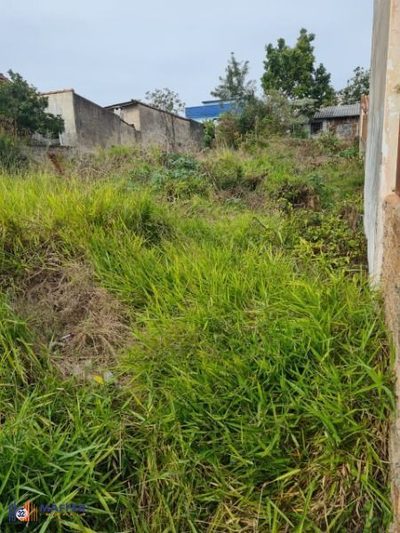 Terreno, 299 m² - Foto 3