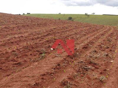 Fazenda, 3 hectares - Foto 2