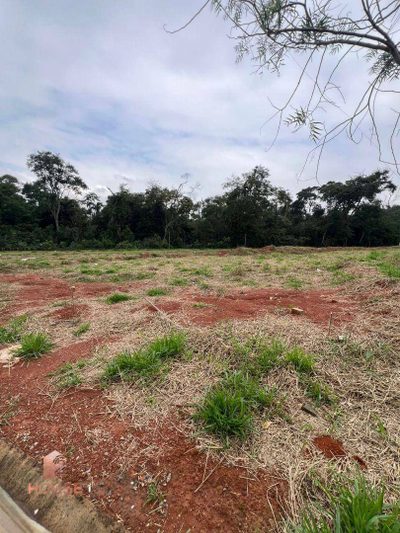Loteamento e Condomínio, 300 m² - Foto 2