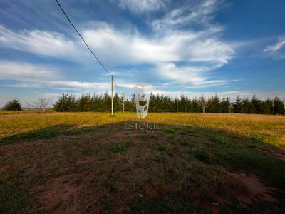 Terreno, 2 hectares - Foto 1