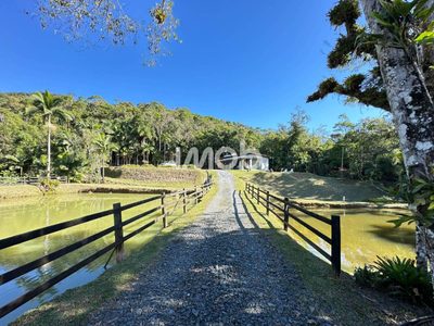 Chácara, 2 quartos, 350 hectares - Foto 4