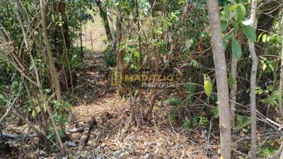 Terreno, 5000 m² - Foto 2