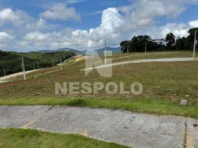 Terreno, 200 m² - Foto 4