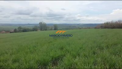 Fazenda, 796 hectares - Foto 5