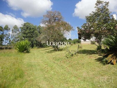 Sítio, 3 quartos, 951 m² - Foto 3