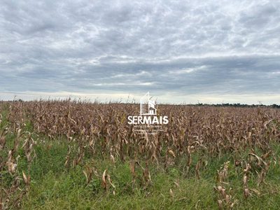 Fazenda, 289 hectares - Foto 3