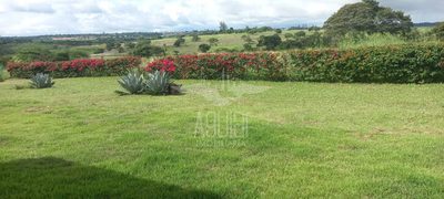 Chácara, 5 quartos, 3 hectares - Foto 3