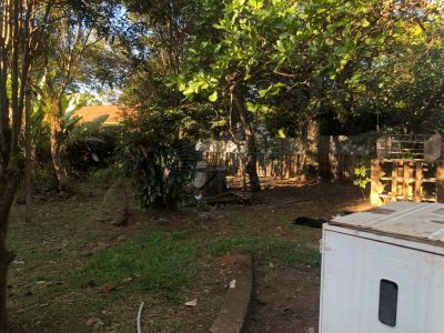 Chácara - Foto 2
