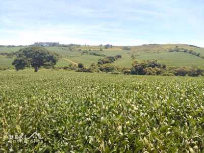 Fazenda, 169 hectares - Foto 4
