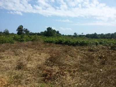 Terreno, 5000 m² - Foto 2