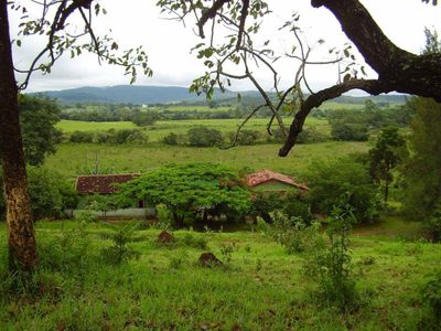 Sítio, 3 quartos, 6 hectares - Foto 1