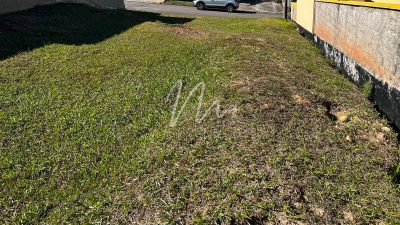 Terreno, 300 m² - Foto 3