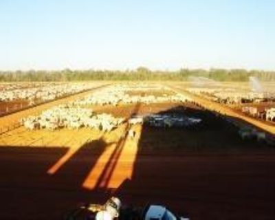 Fazenda, 1 hectares - Foto 3