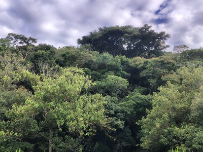 Sítio, 1 quarto, 80 m² - Foto 5